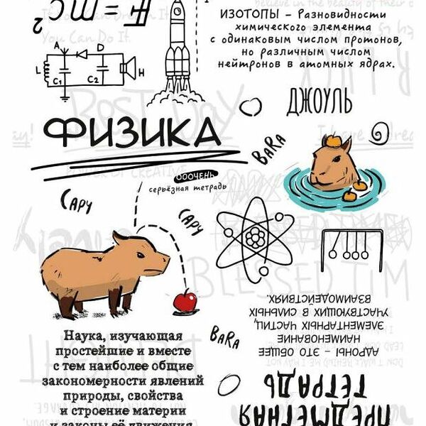 Тетрадь предметная Prof-Press Капибара Физика в клетку А5, 48 листов