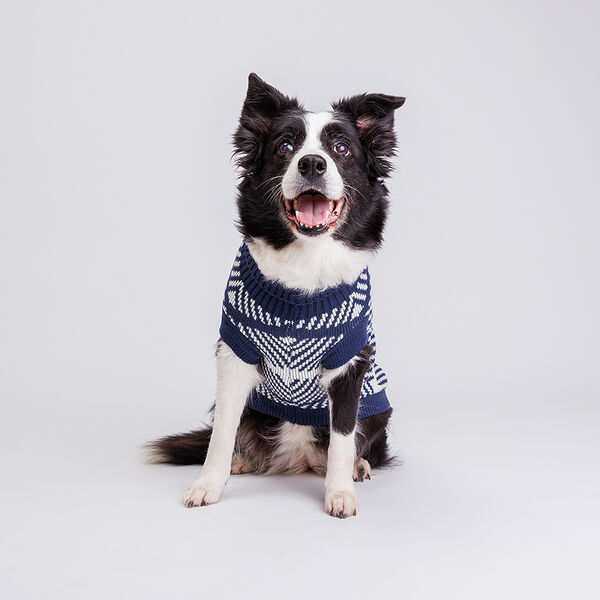 Свитер в полоску для кошек и собак, 55 см, синий