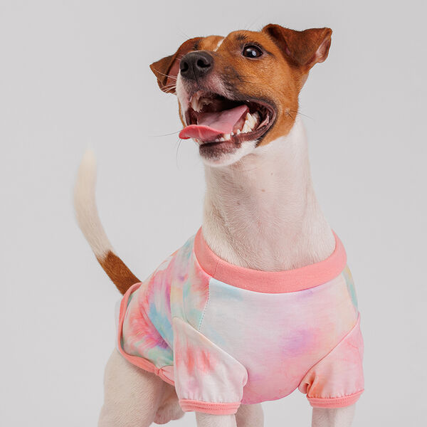 Футболка для собак Every Mom Queen, L