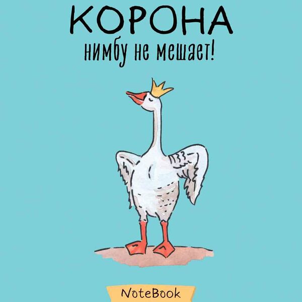 Тетрадь А5 клетка Hatber Гусь-веселюсь Выпуск №1 дизайн в ассортименте, 48 листов