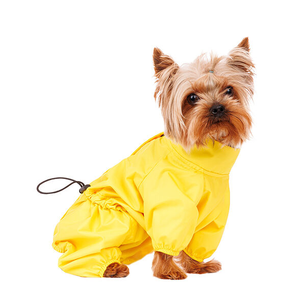 Дождевик для собак S желтый (девочка)