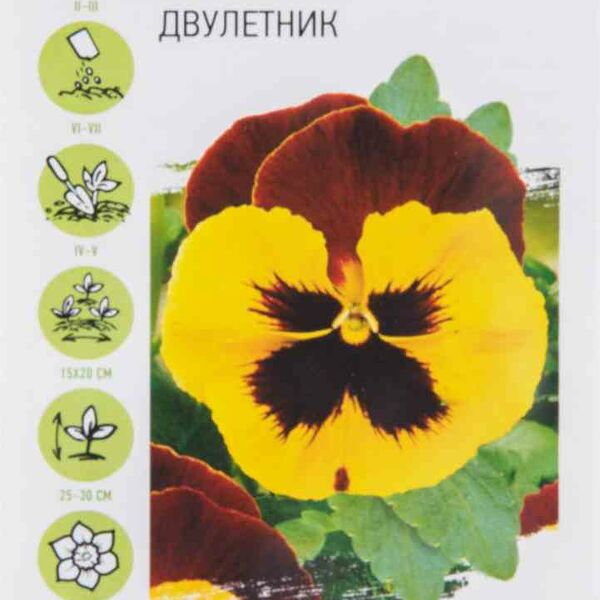 Виола Виттрока Махаон Удачные семена