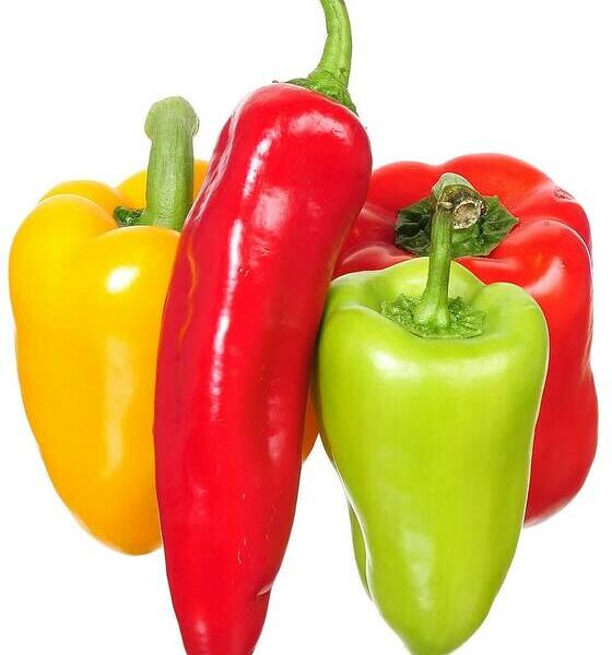 Перец Долма