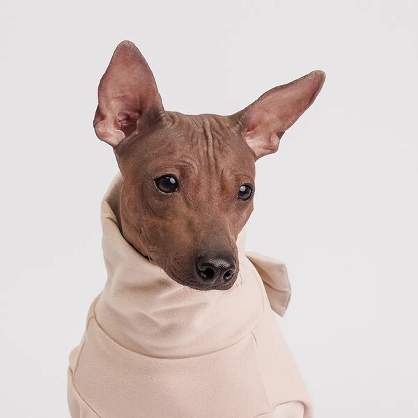 Костюм флисовый  Rurri для собак, XL, бежевый