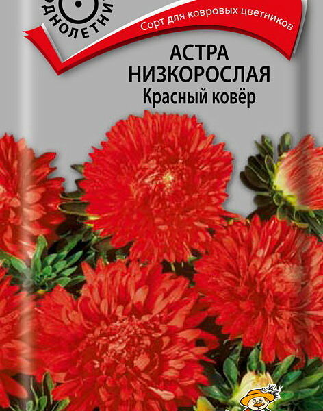 Семена Астра низовая Красный ковер ТМ Поиск