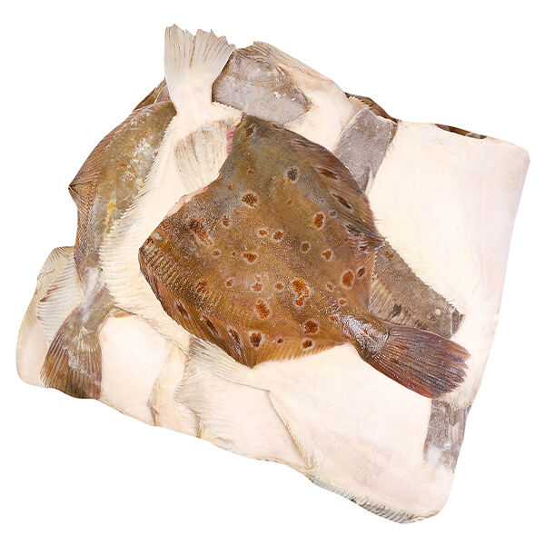 Камбала пестрая мурманская крупная ОПТ