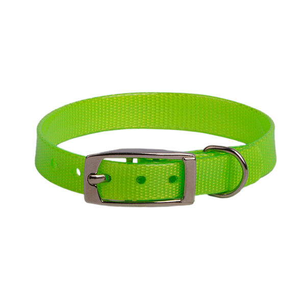 Ошейник из биотана для собак мелких пород, зеленый, 12 мм, обхват шеи 20-24 см