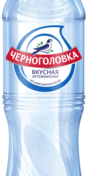 Вода питьевая ЧЕРНОГОЛОВКА артезианская негазированная