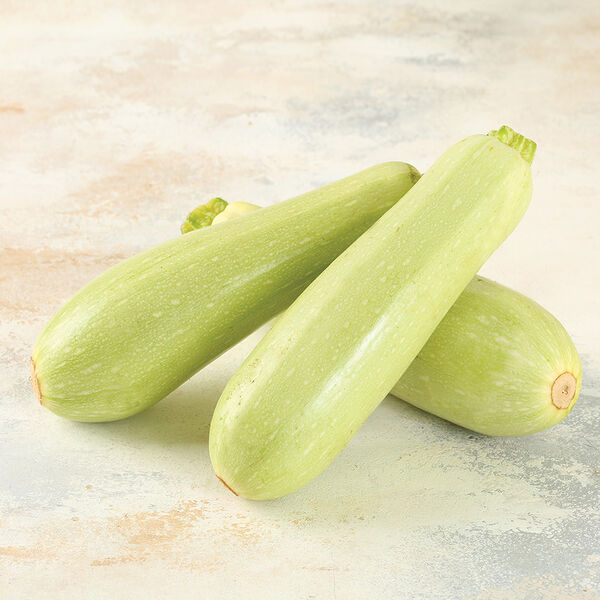 Кабачки Отдохни-77, вес