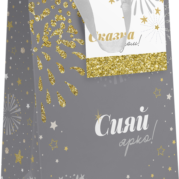 Пакет Пакетико 22.7*18*10см матовая ламинация MA Silver