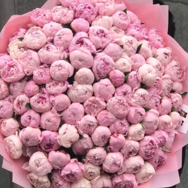 Букет из 101 розового пиона