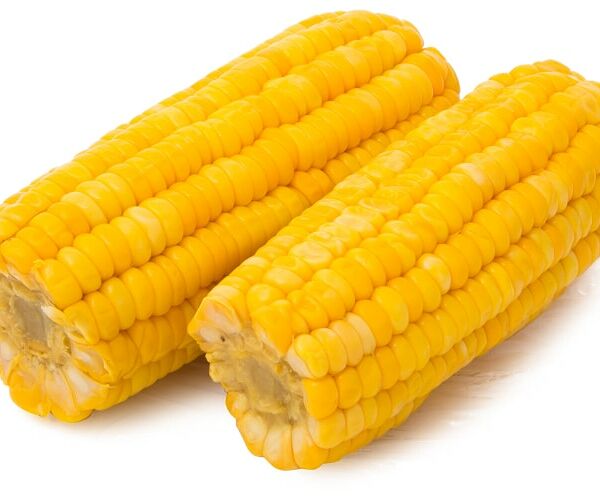 Кукуруза сладкая в початках вареная 2шт упаковка