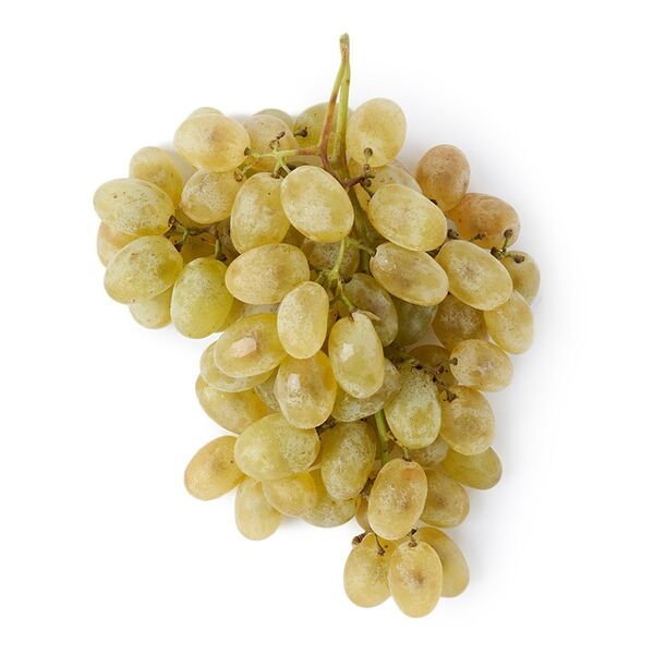 Виноград Хусайне