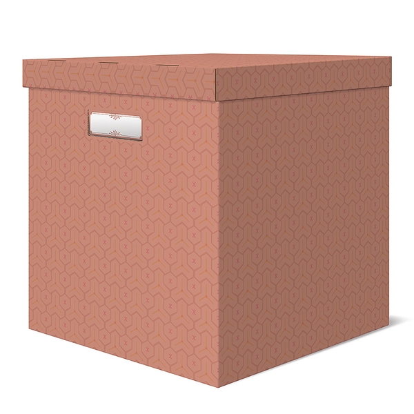 Коробка для хранения Лакарт Дизайн Pastel XL, 2 шт