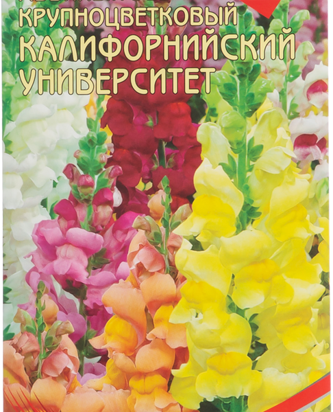 Семена Дом семян Львиный зев Калифорнийский Университет