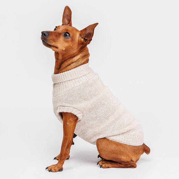 Свитер для собак, M, бежевый