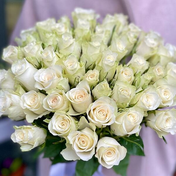 51 кенийская роза Атена (40 см)