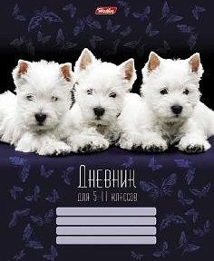 Дневник школьный ТМ Hatber (Хатбер)