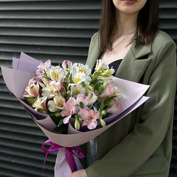 Стойкая альстромерия