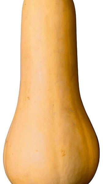 Тыква Баттернат