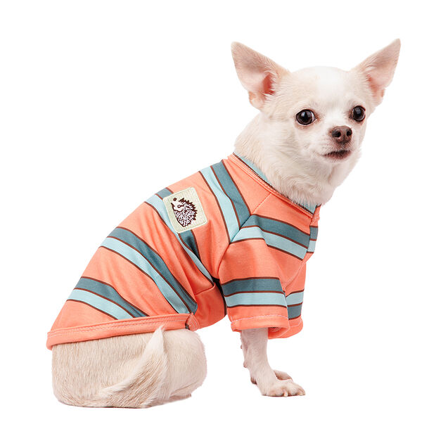 Футболка для собак XS оранжевый (унисекс)