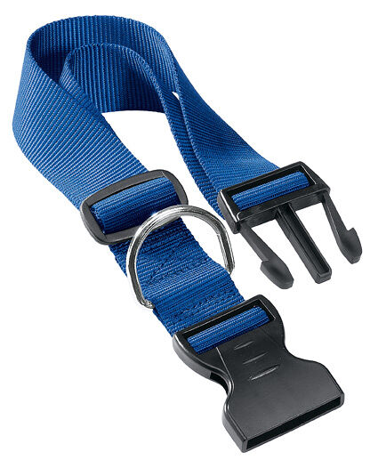 CLUB Ошейник для собак мелких пород голубой 25х1 см