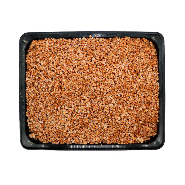 Каша гречневая