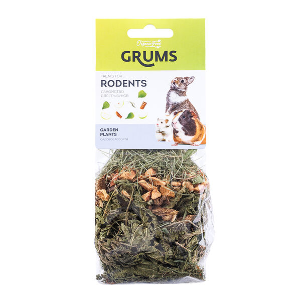 Лакомство для грызунов Садовое ассорти, 50 гр.