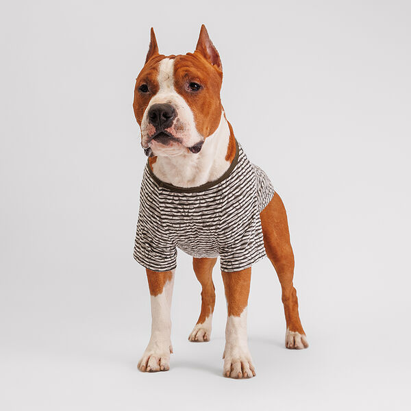 Футболка для собак, 2XL, серая в полоску