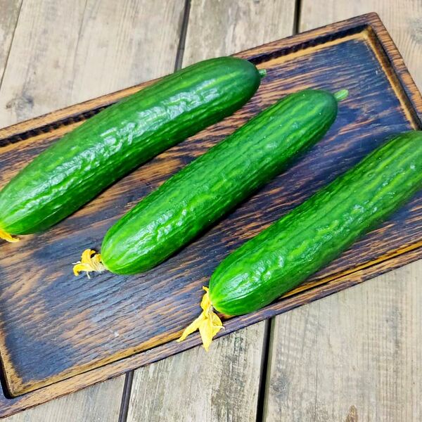Огурцы длинноплодные