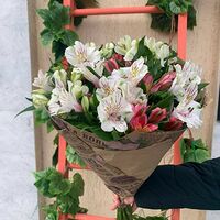 Изображение 2