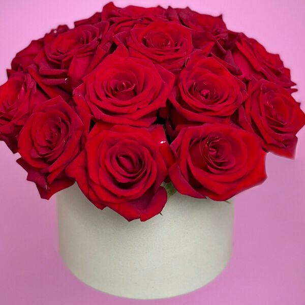 Красные розы в шляпной коробке XS