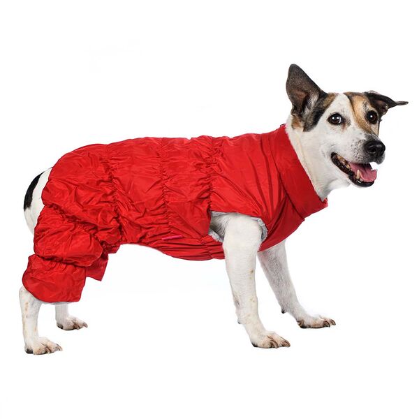 Комбинезон на молнии для собак S красный (унисекс)