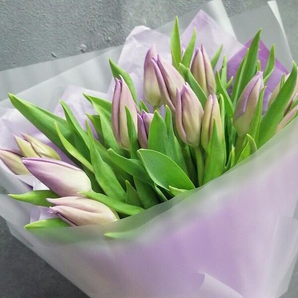 15 тюльпанов