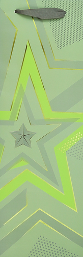 

Пакет подарочный Neon под бутылку, 13х36х8,5см, Арт. СБТ16