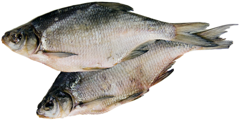 

Тарань вяленая, весовая