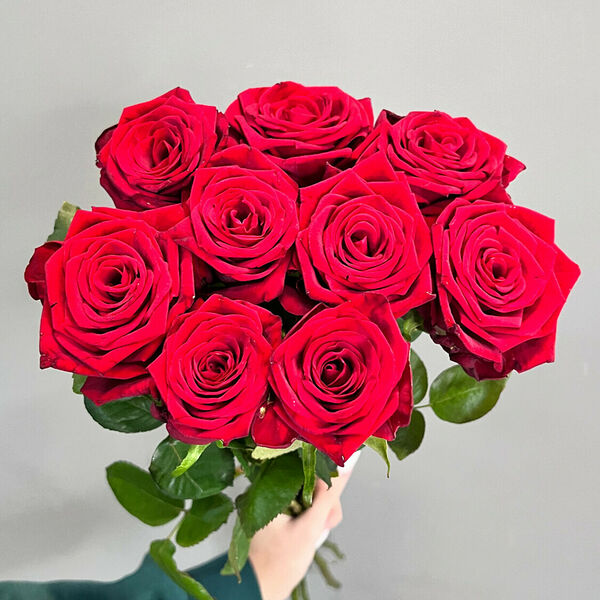 Классические розы