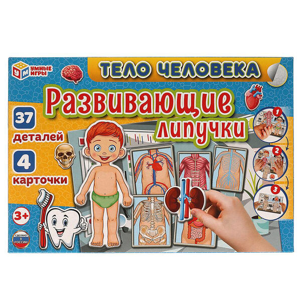 Развивающая игра Умные игры с липучками Тело человека