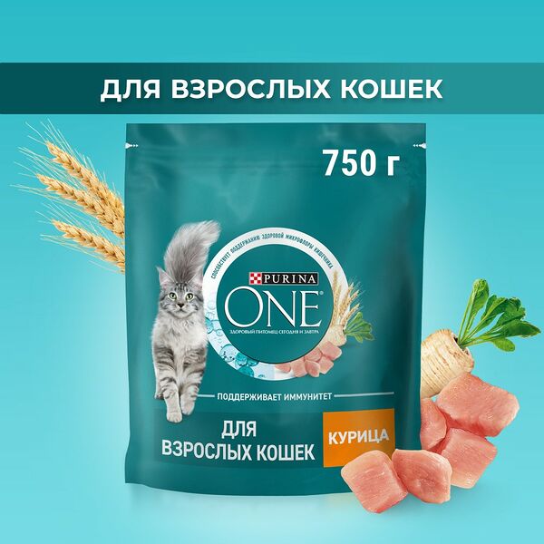 Сухой корм Purina ONE® для взрослых кошек, с высоким содержанием курицы и цельными злаками, Пакет, 750 г