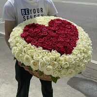Изображение 5
