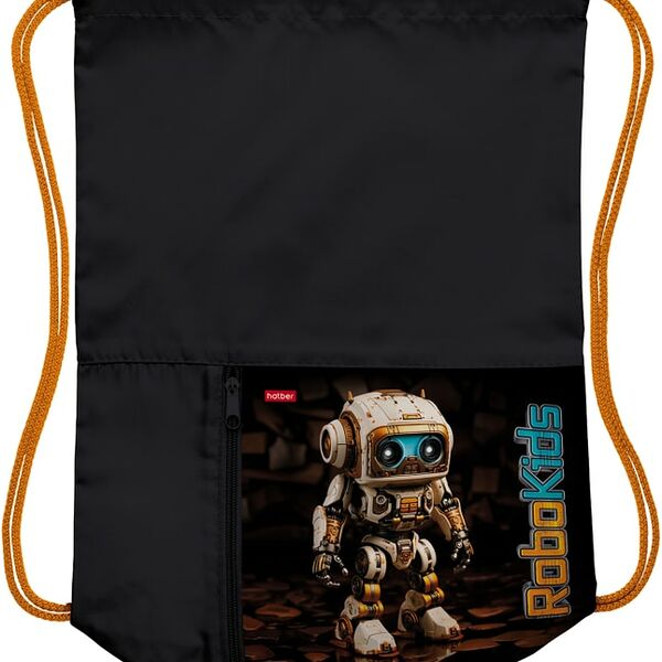 Мешок для сменной обуви Hatber Робо 2 отделения 34*41см