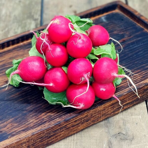 Редис с ботвой