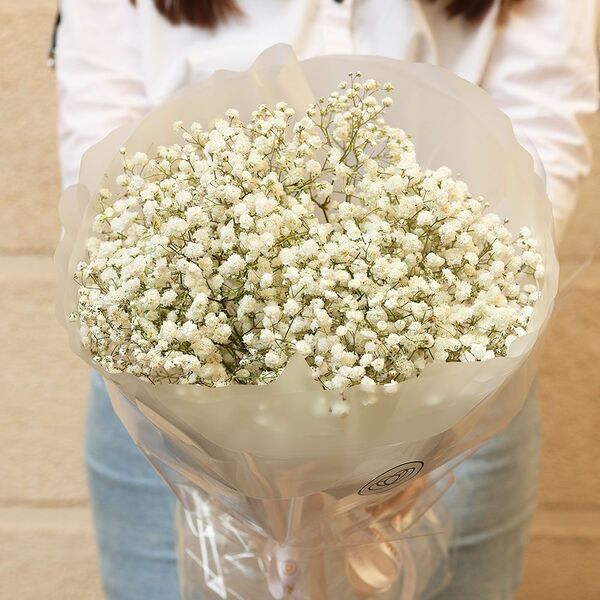 Букет из 11 белых гипсофил в матовой круглой упаковке