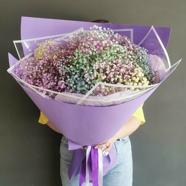 Гипсофила х15