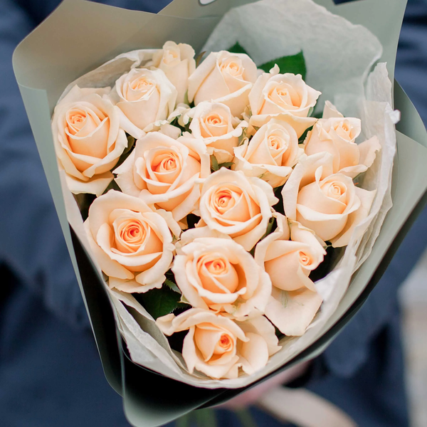 Букет из 15 кремовых роз Пич Аваланш 35-40 см (Россия) в зеленой пленке