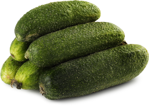 

Огурцы короткоплодные Луховицкие 450 г