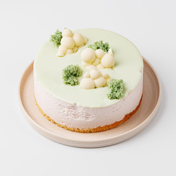 Торт муссовый Киви - клубника, 580г