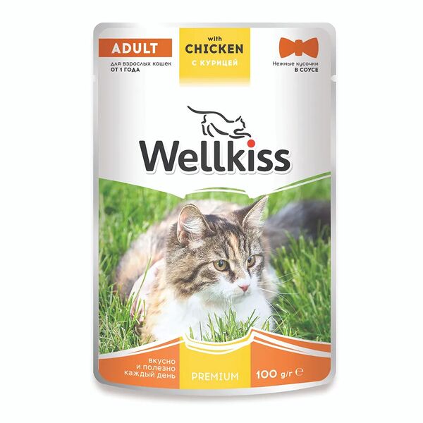 Влажный корм для взрослых кошек Wellkiss с курицей в соусе