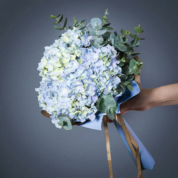 Монобукет из нежных Гортензий