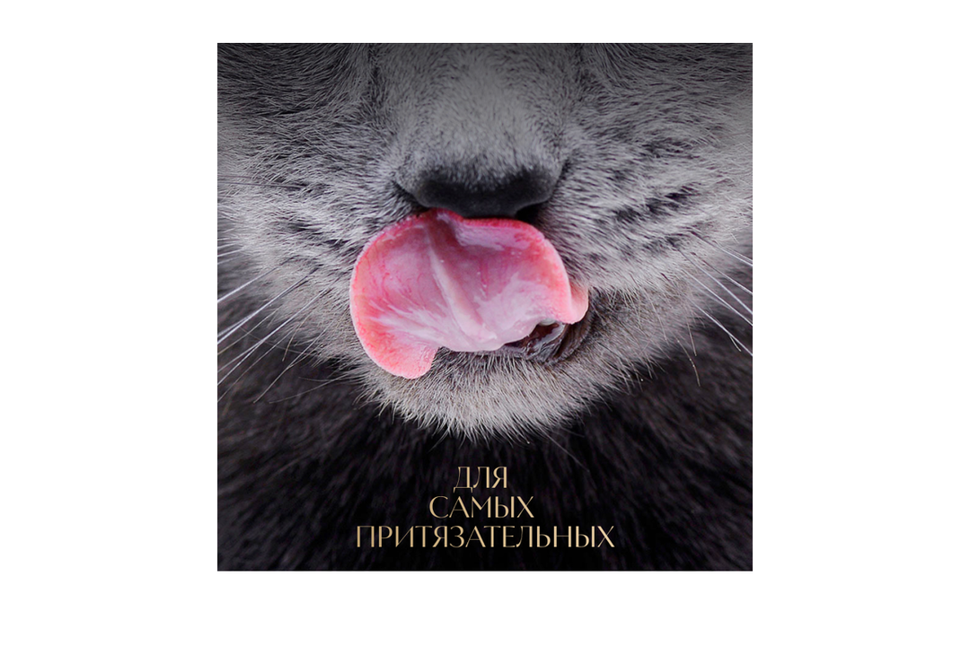 

Влажный корм для кошек Sheba Ломтики в соусе с курицей и индейкой 75 г